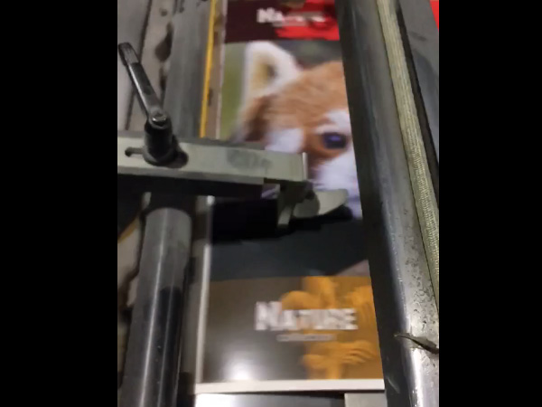 Ajuste Calce Lacadora DLG Planta Libesa